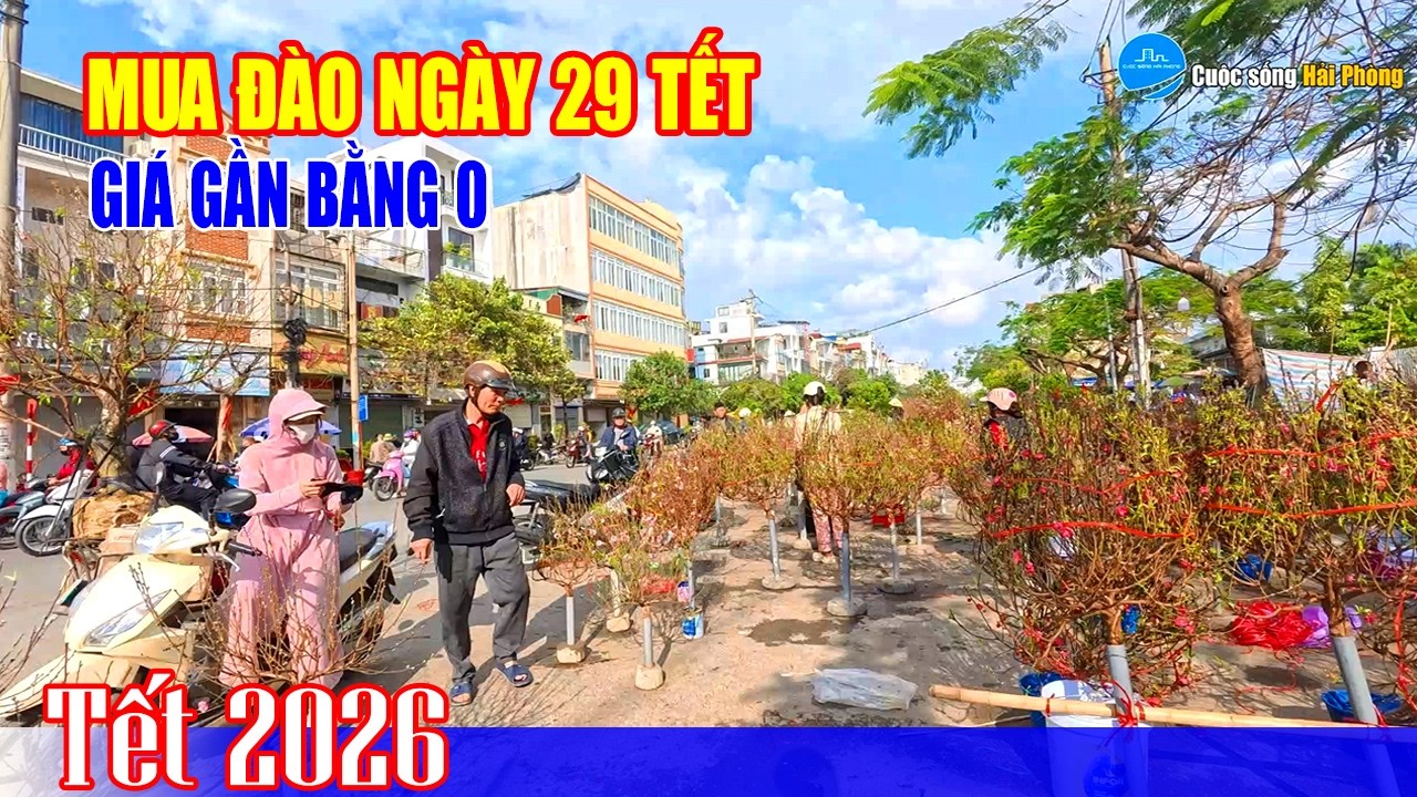 Ngày 29 Tết tôi mua được cây đào đẹp nhất chợ
