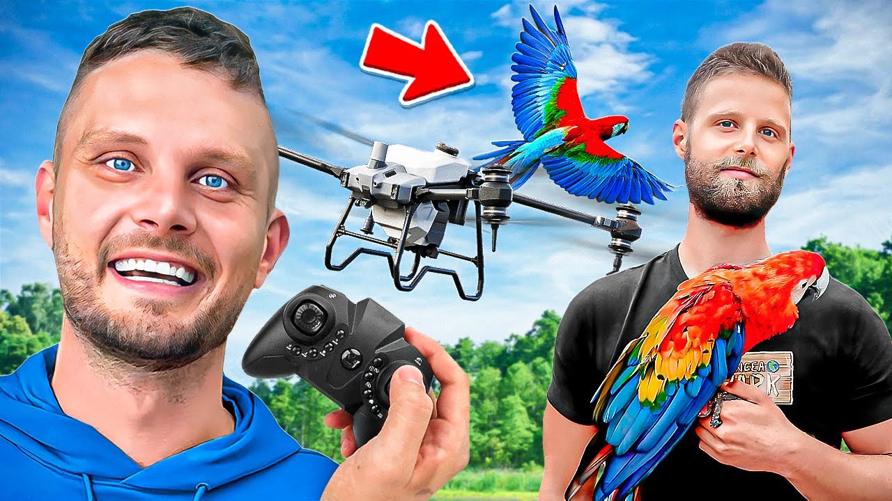 Fanger papegøje med drone