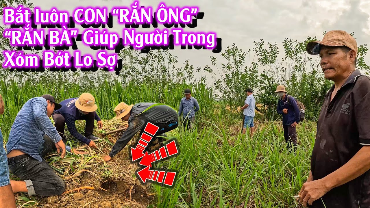 Người trong Xóm Họ nghĩ là 