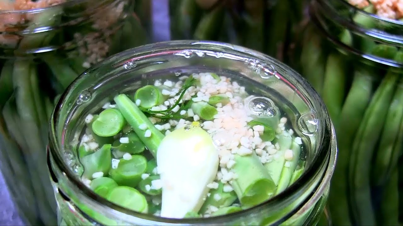 Canning Dilly Beans | The Best Pickled Green Beans Recipe