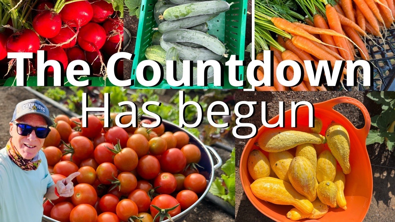 The Countdown has begun