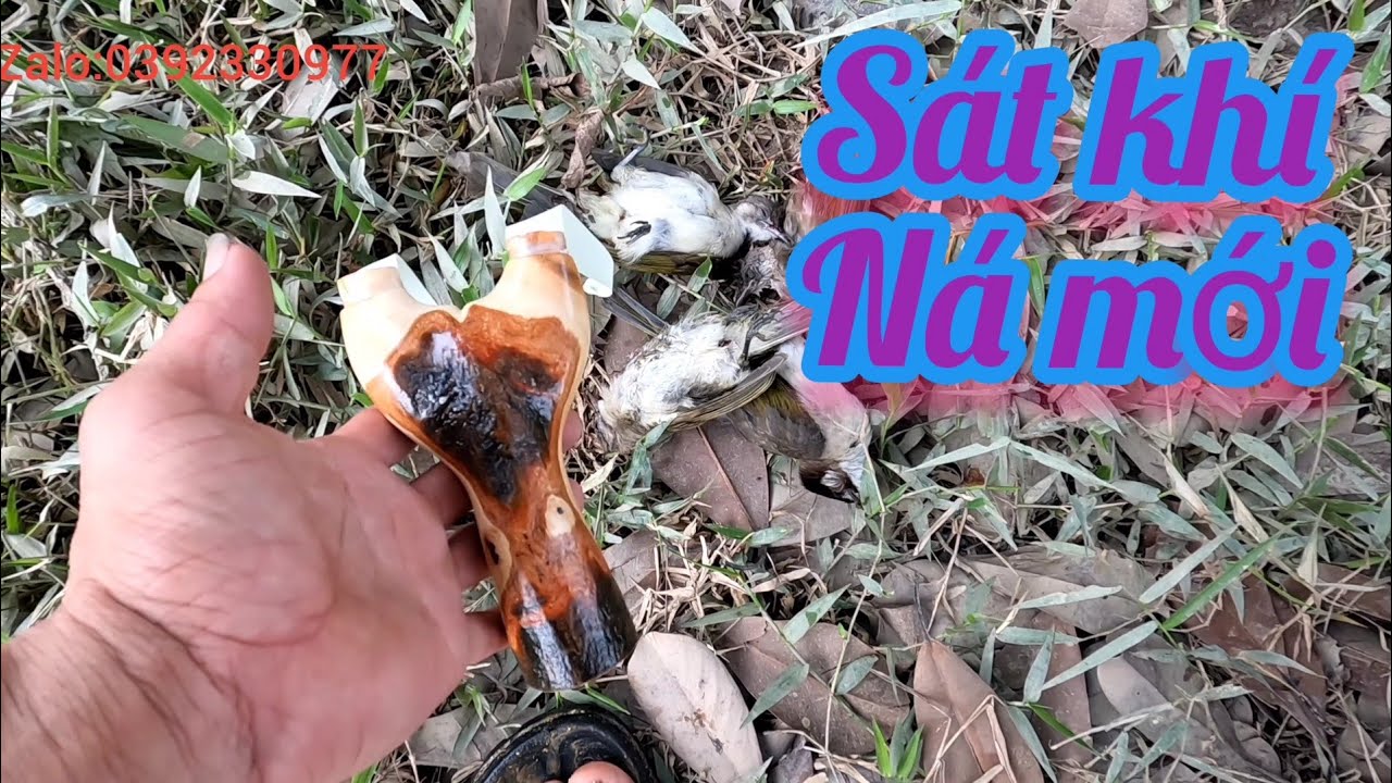 Ná cao su,tét ná mới làm, ná gỗ giá rẻ cho ae chọn lựa,slingshot