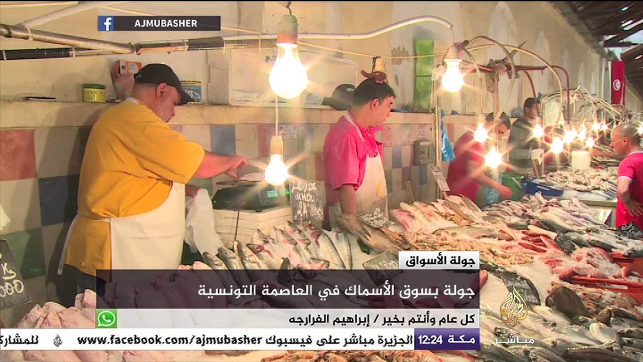 جولة في سوق الأسماك بالعاصمة التونسية .. جولة الأسواق