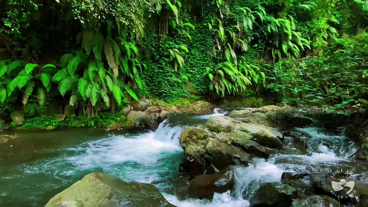 River Sounds for Sleeping. Waterfall Flowing Mountain Forest 24/7. Waterfall Sounds, White Noise #1