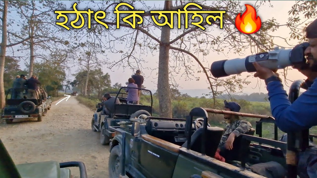 মিছ নকৰিব আজিৰ ছাফাৰী একদম Special | kaziranga national park safari 