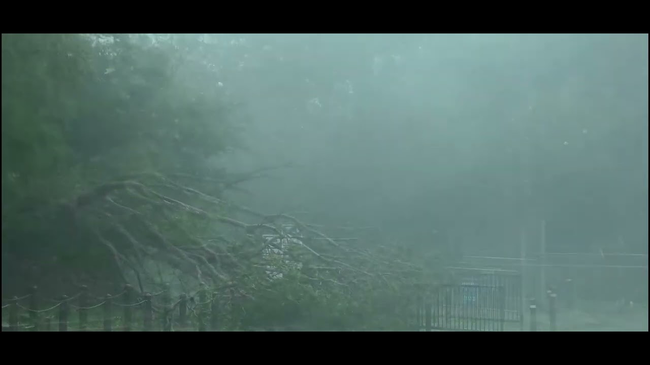 Usa el sonido de la lluvia para descansar ,leer, estudiar ,trabajar ☔️🌨