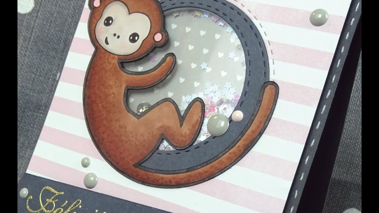 [2016] shaker card de naissance