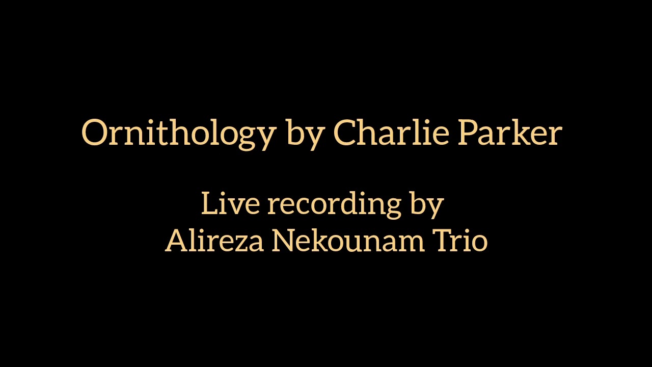 Ornithology (Charlie Parker) — Live Performance by the Alireza Nekounam Trio (First Take)