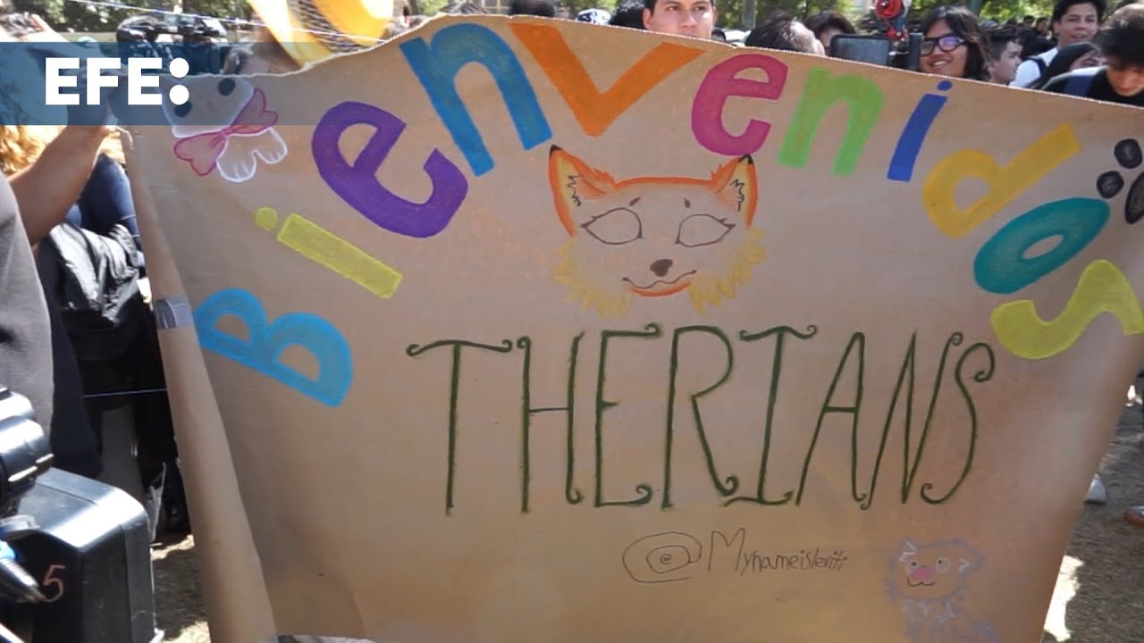 El primer evento de los denominados 'therians' en Ciudad de México termina en fracaso