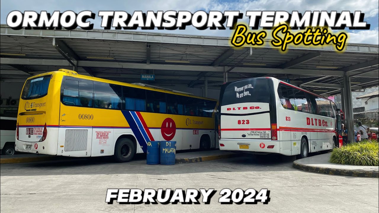 ORMOC TRANSPORT TERMINAL Bus Spotting | FEBRUARY 2024