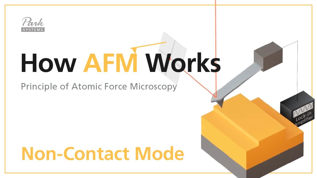 How AFM Works 2-2 Non-Contact Mode