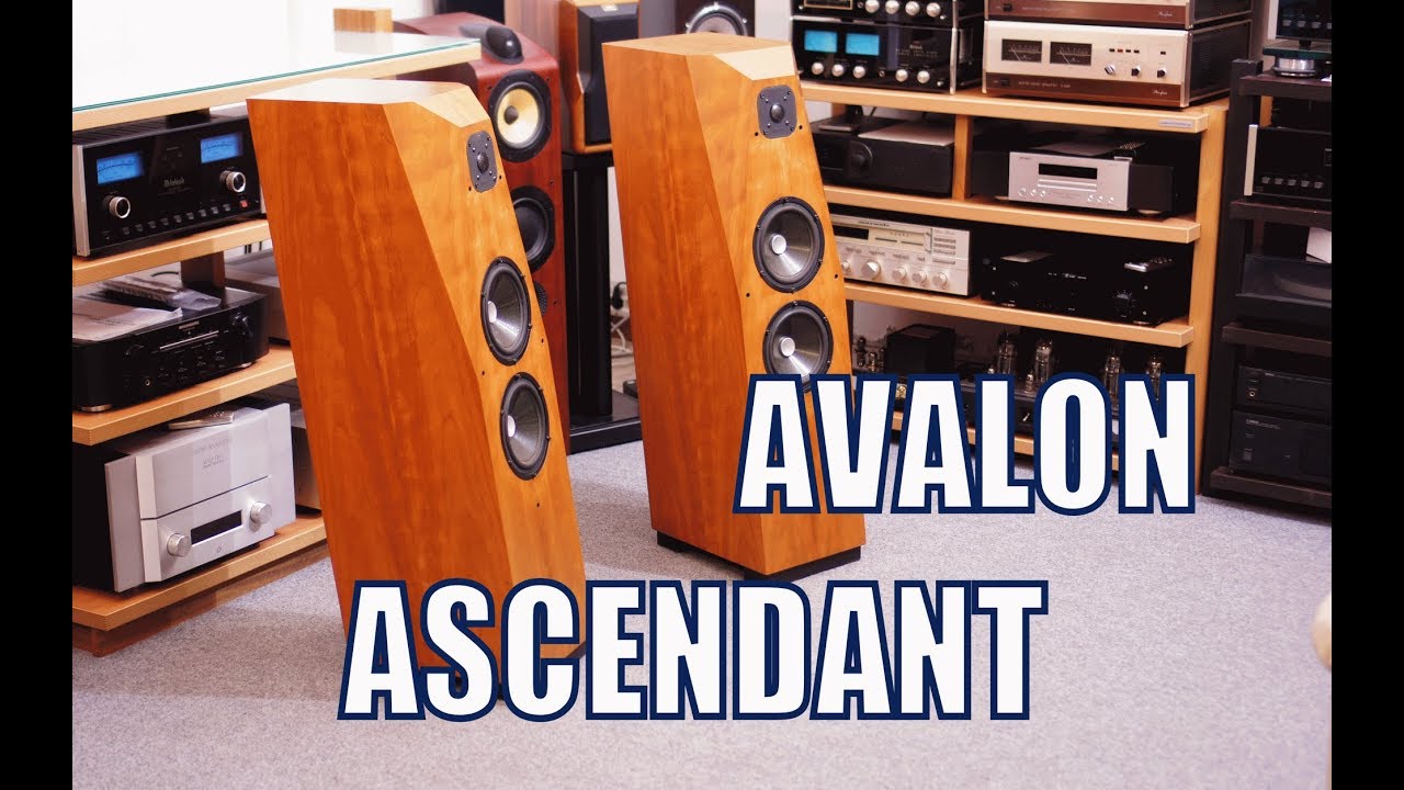 Avalon Ascendant Test di Sbisa' www.audiocostruzioni.com HD
