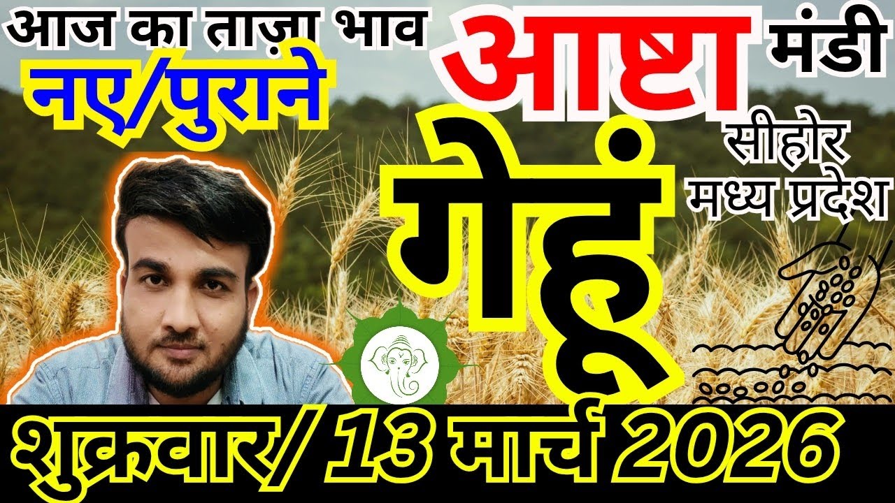 🌾गेहूं में आज क्या रहा रुख? | 13 मार्च 2026 | आष्टा मंडी गेहूं भाव | Sandeep Nagar