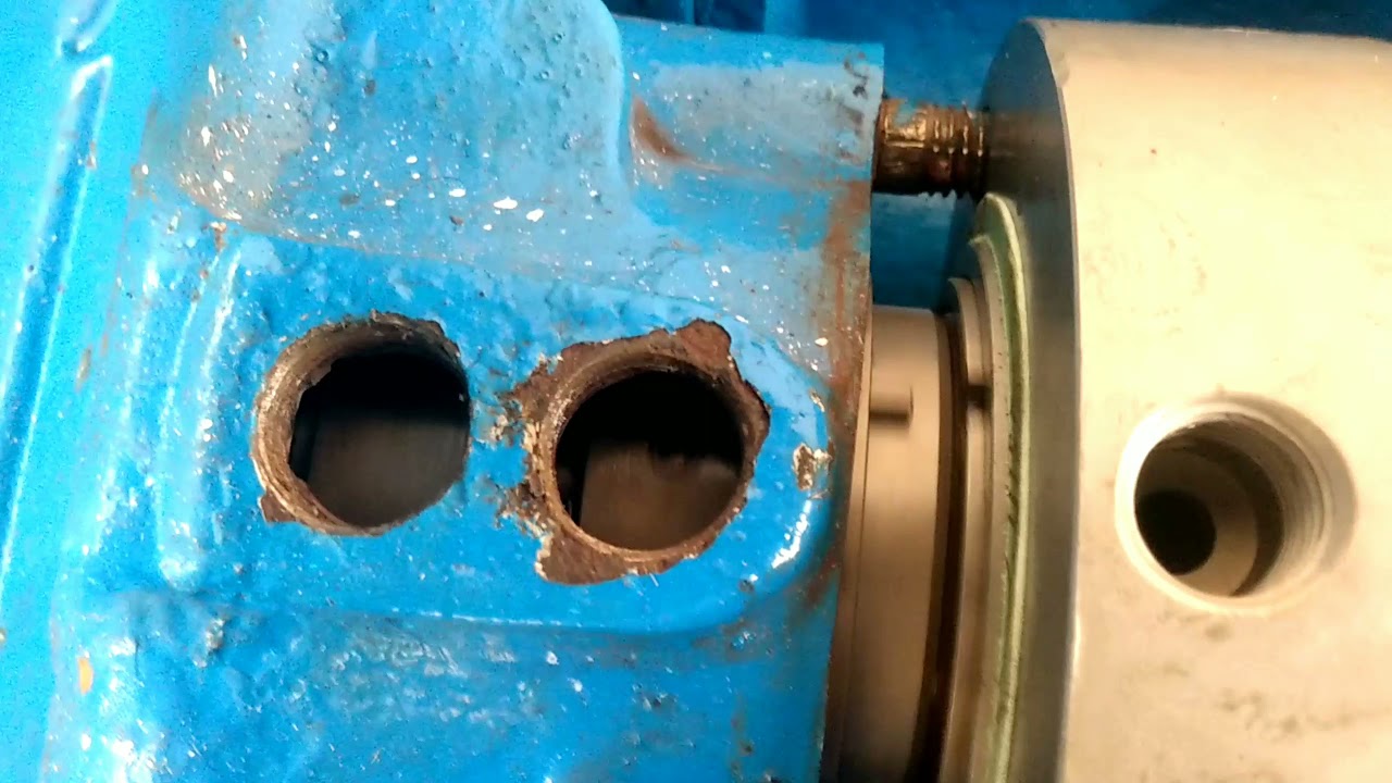 Montagem de selo Mecânico duplo