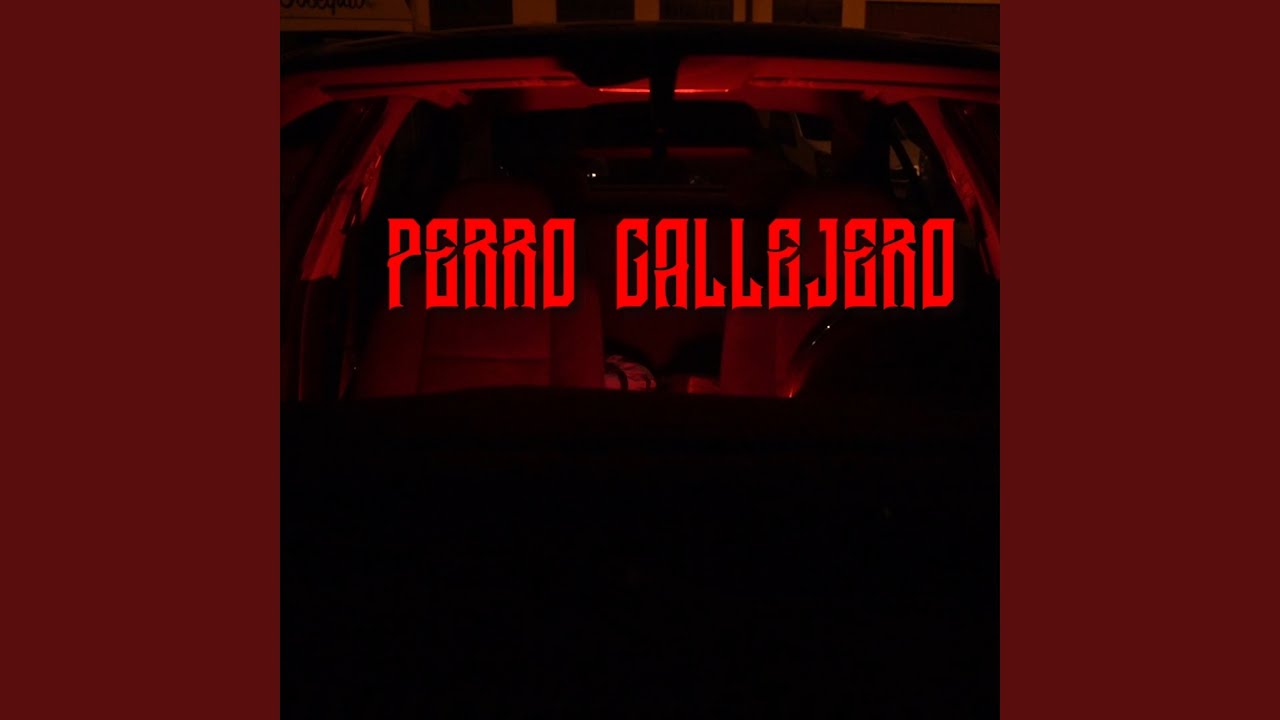 Perro callejero