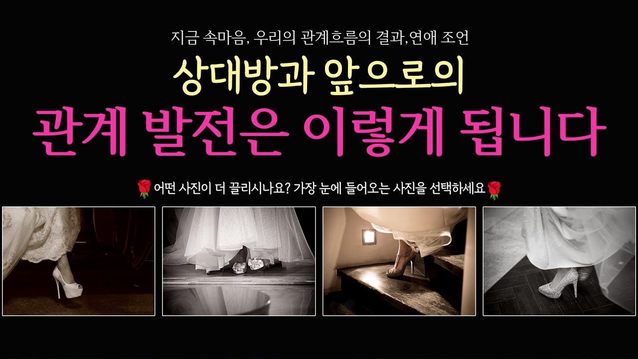 [타로] 🌹상대방과의 관계 발전은 이렇게 됩니다❤️ 현재 속마음, 앞으로 관계 흐름의 결과🔮