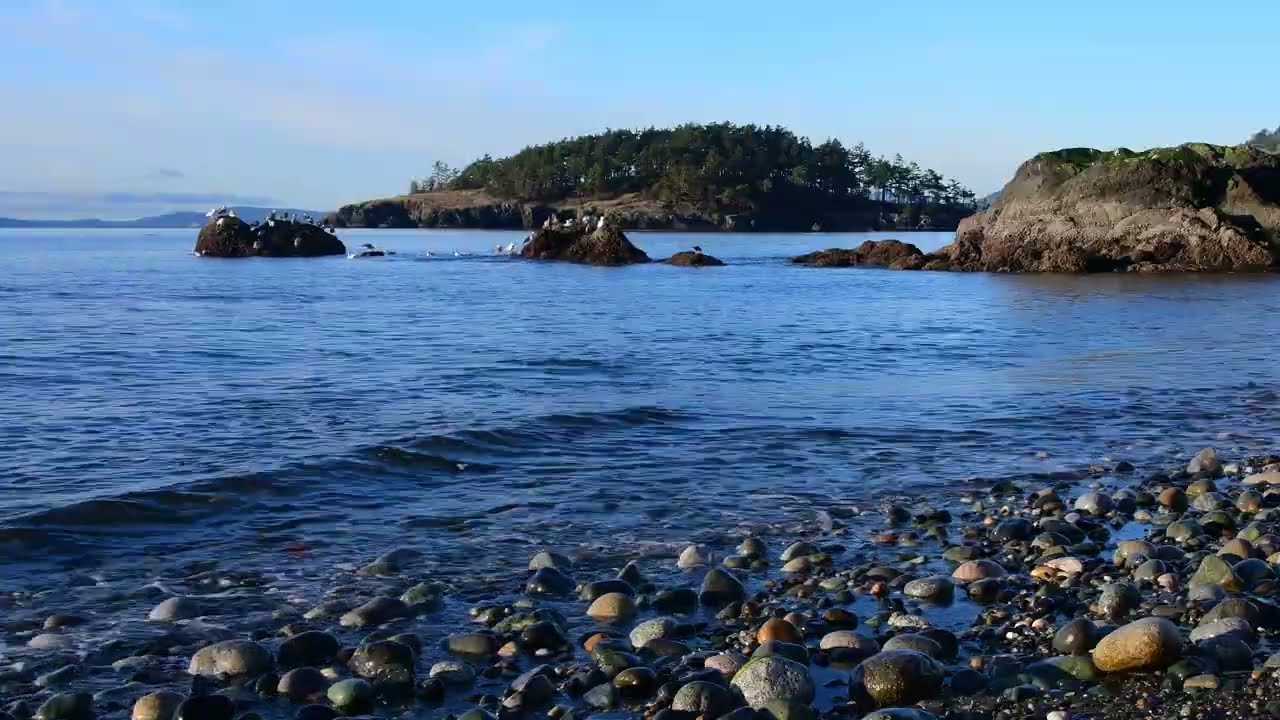 4K Gentle Waves & Seagulls at Deception Pass Beach