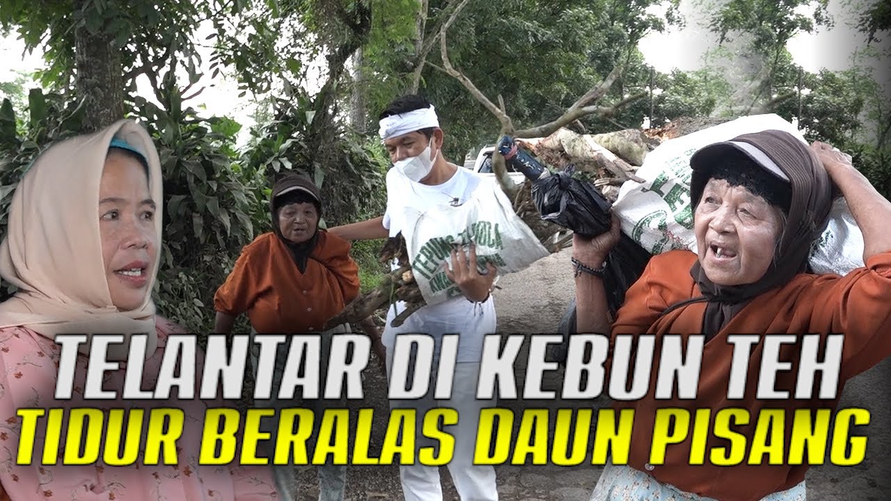 MAK TARSIH ASAL SUMEDANG|TELANTAR DI KEBUN TEH TANPA TEMPAT BERTEDUH|KINI TINGGAL DI WARUNG BI IDA