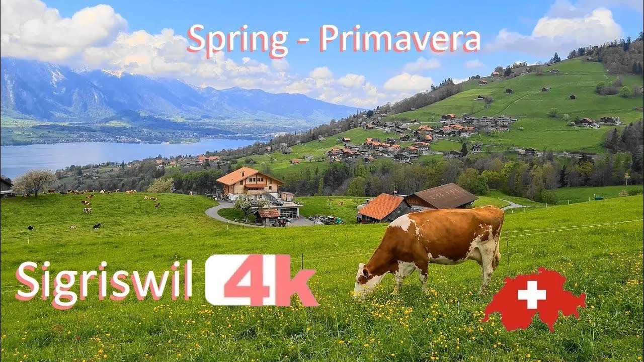 🇨🇭 - SWITZERLAND   SIGRISWIL   PART 4   INTERLAKEN  Walking Tour beautiful villages  SUIZA - 4k 🇨🇭