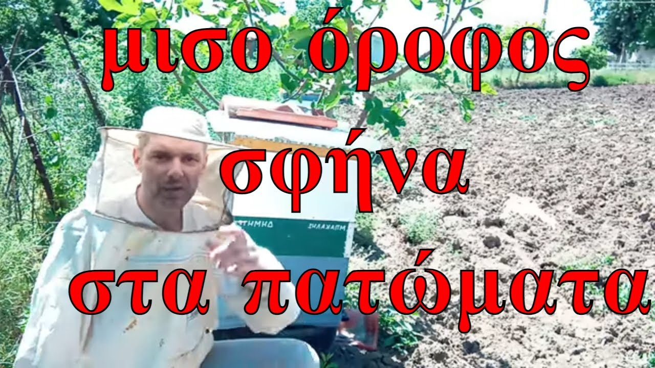 μισο όροφος σφήνα στα πατώματα