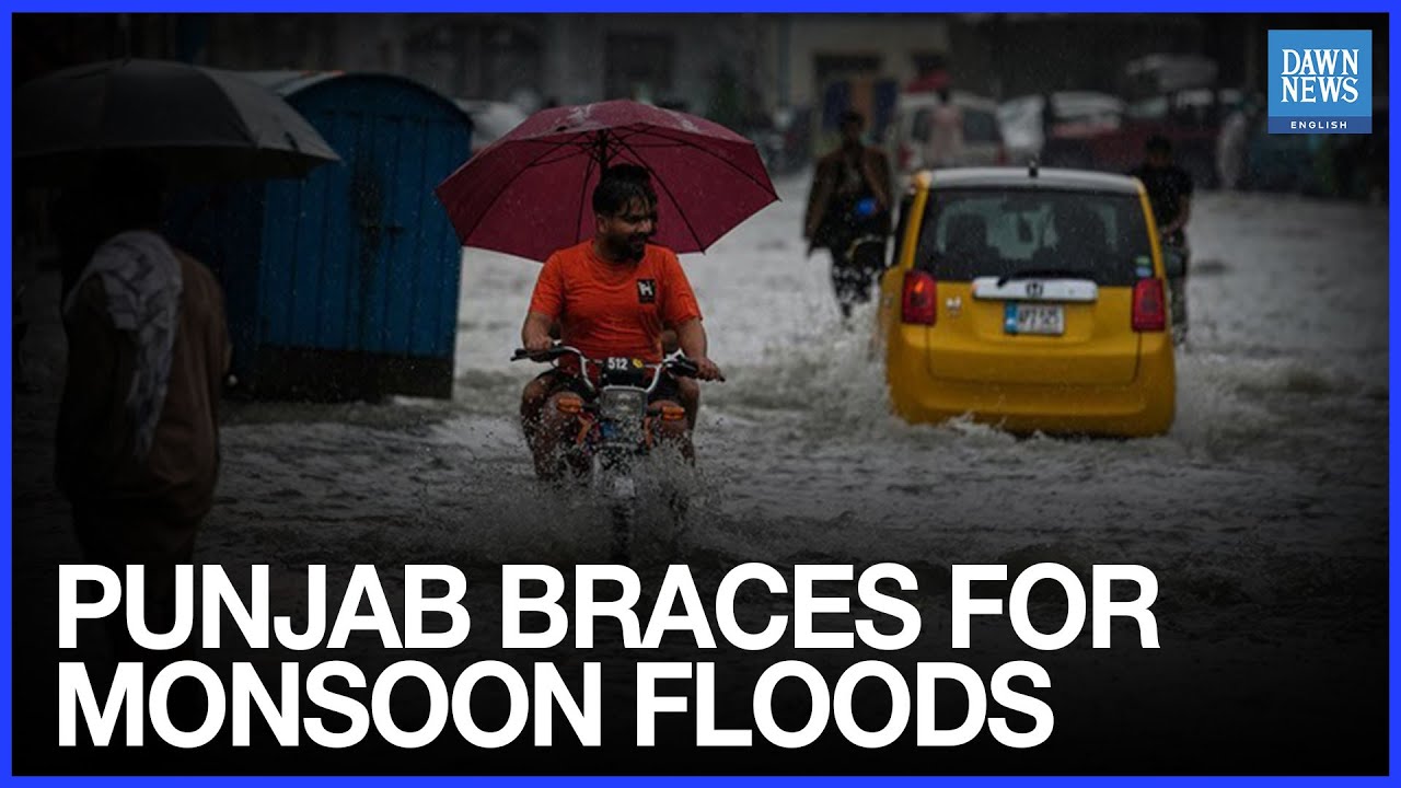 Monsoon Rains to Continue in Punjab Until July 25; PDMA Issues Flood Alert | Dawn News English