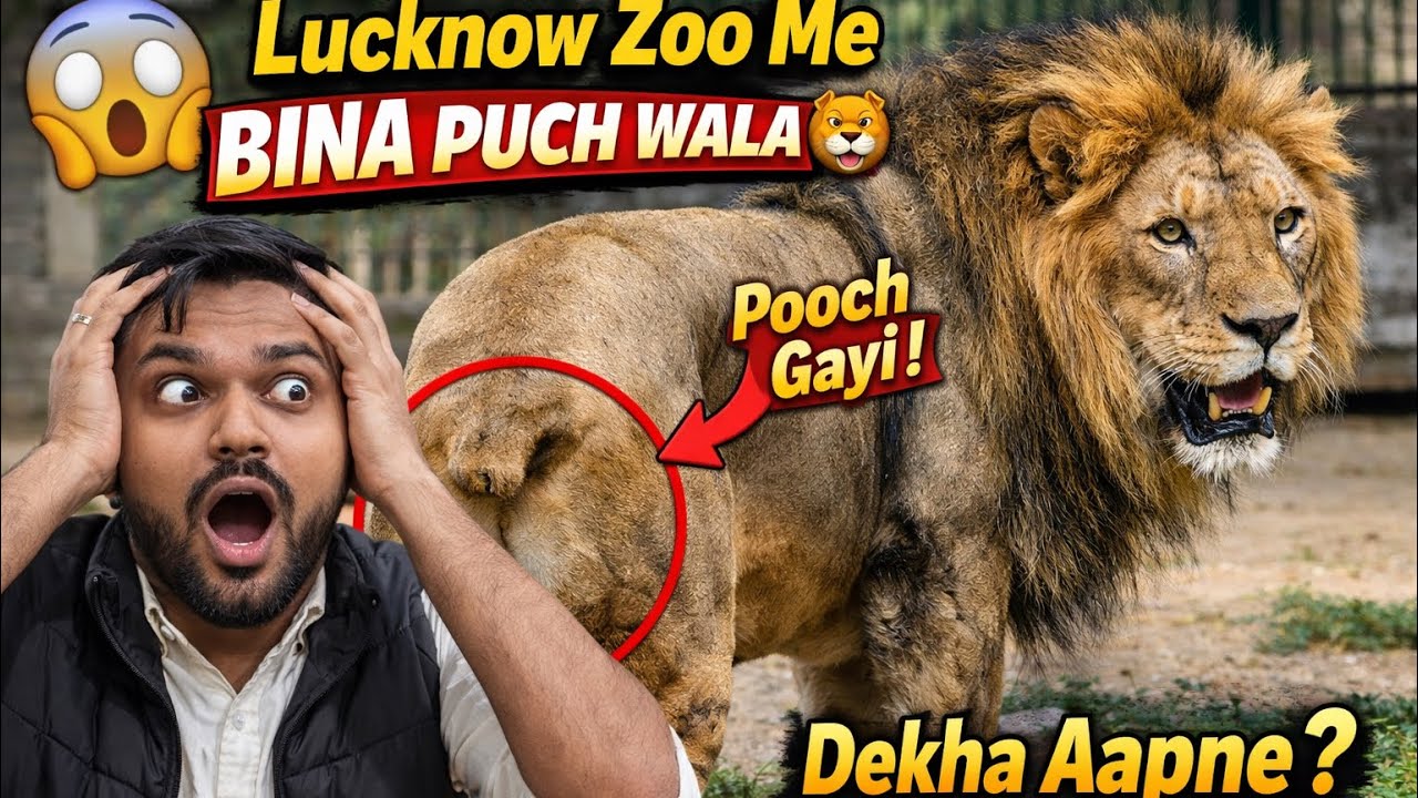 Zoo Me Bina Pooch Wala Sher 😱 | Aisa Sher Pehle Kabhi Nahi Dekha | 18th Vlog