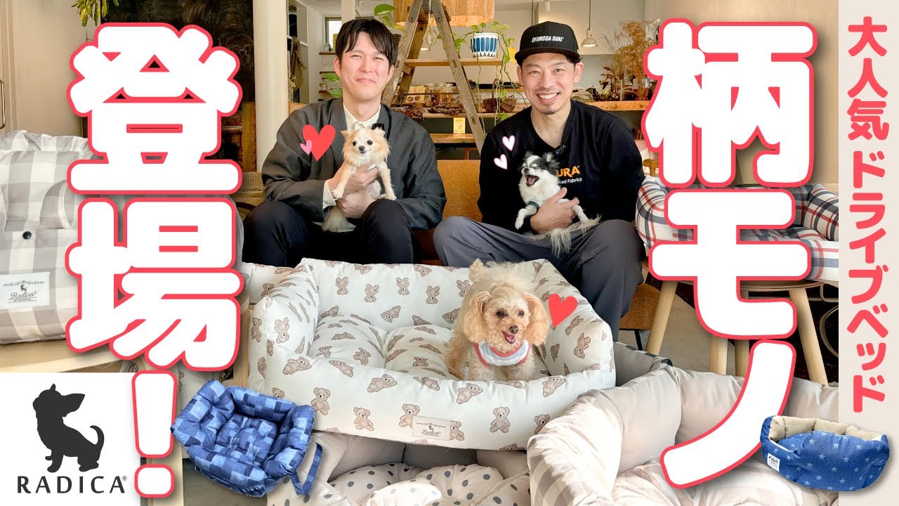 【RADICA】大人気のコーデュラ&reg;ドッグベッドに柄モノ登場！ワンちゃんも大喜びした回