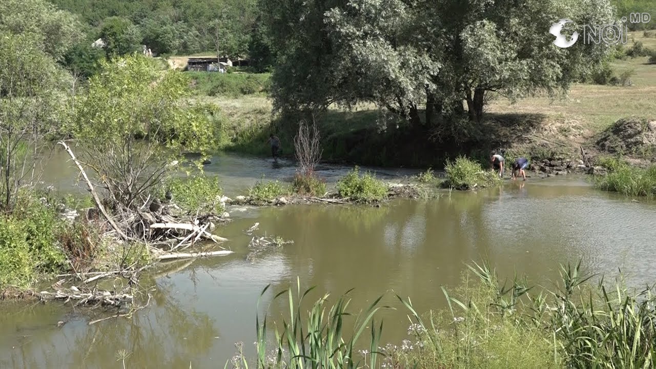 Rîul Răut, eliberat de gardurile care distrugeau fluviul