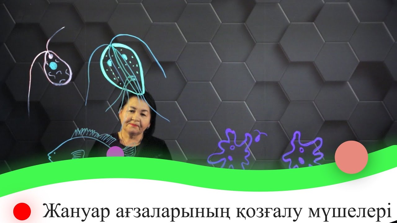 Жануар ағзаларының қозғалу мүшелері. 7 сынып.