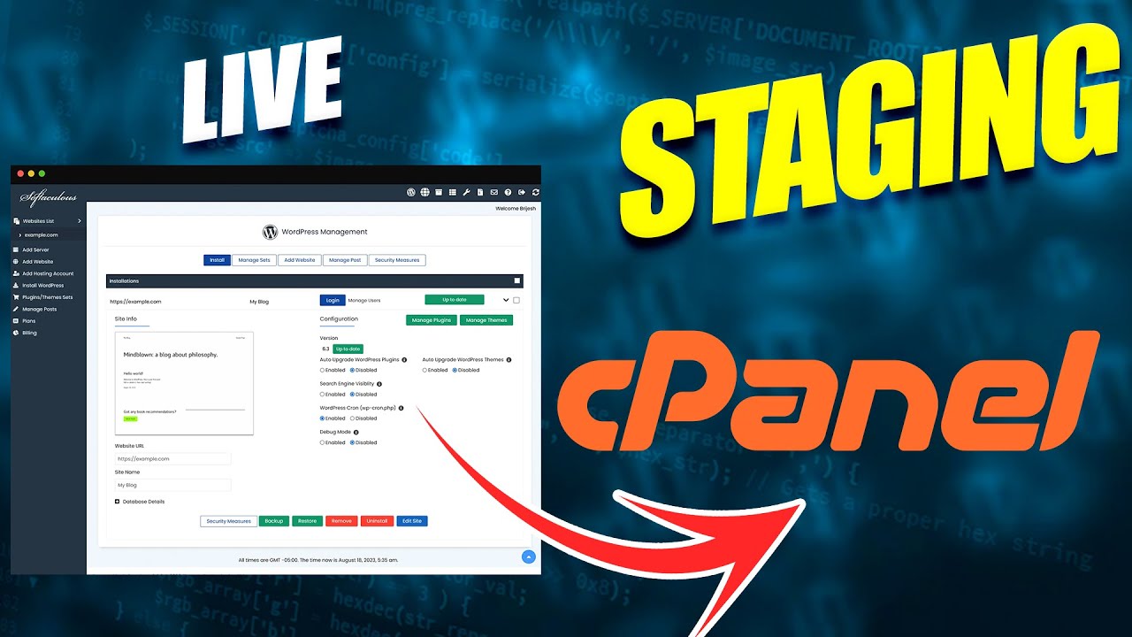 How to Create a WordPress Staging Site in cPanel (Using Softaculous) &ndash; Step-by-Step Tutorial