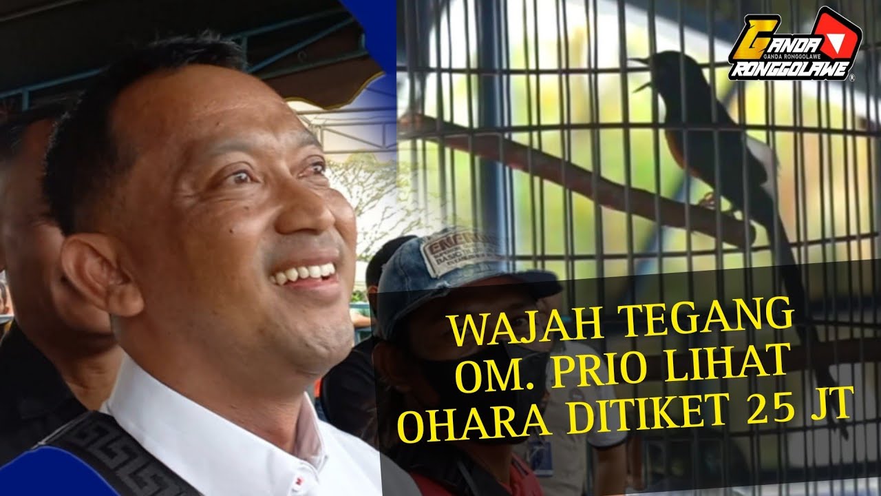 WAJAH TEGANG OM PRIO SUTRISNO SAAT MELIHAT AKSI OHARA REBORN DI TIKET 25 JUTA