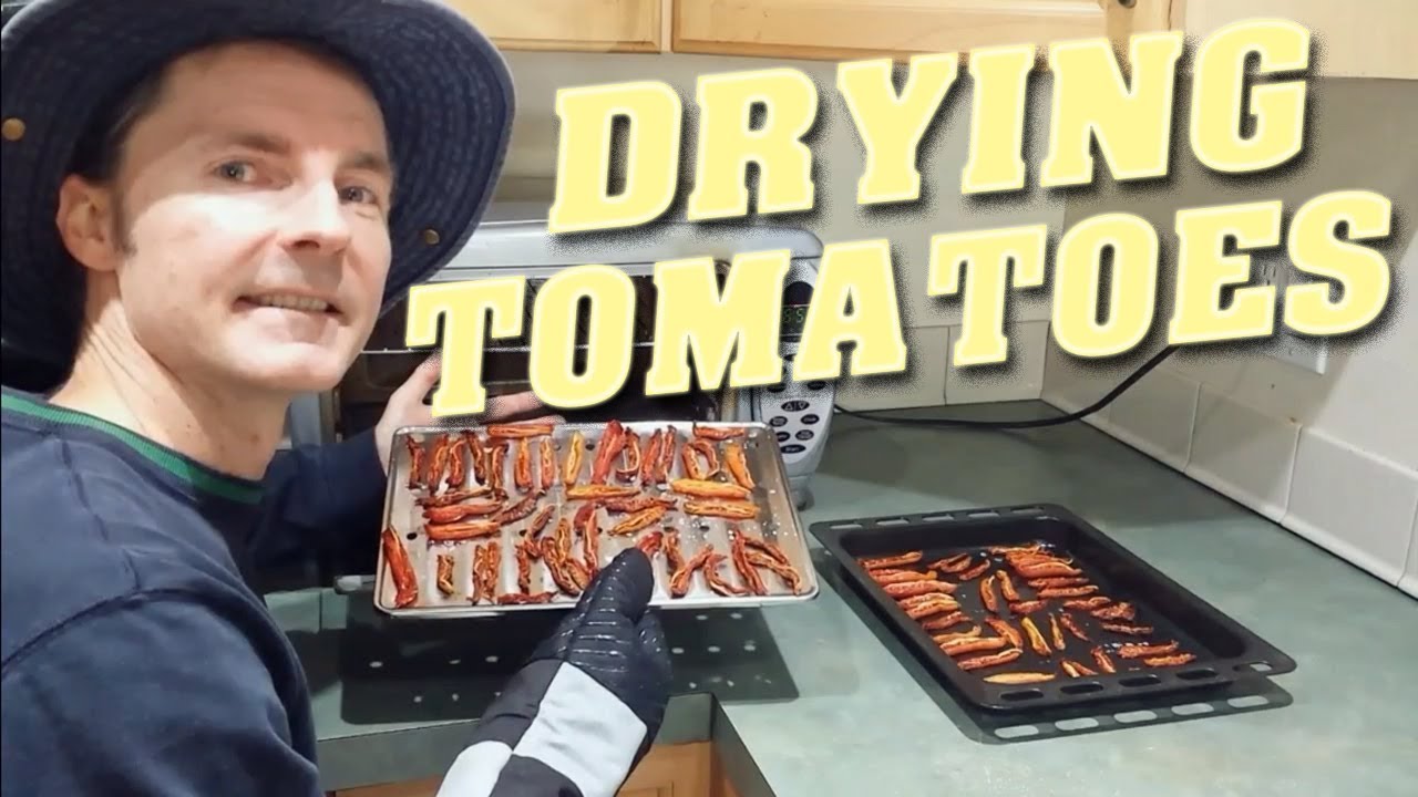 Make Sun-Dried Tomatoes in a Toaster Oven