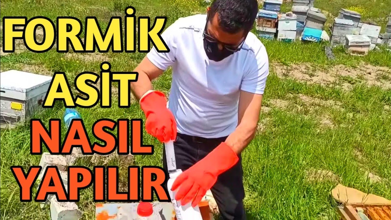 Varroa İçin Formik Asit Nasıl Yapılır | Nelere Dikkat Etmeliyiz Detaylı Anlatım Ne Fayda