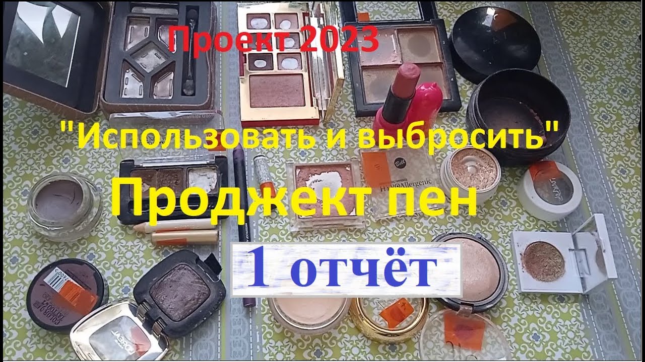 1 отчёт Проджект пена (project pan 2023). Использовать и выбросить 2023г. + фото