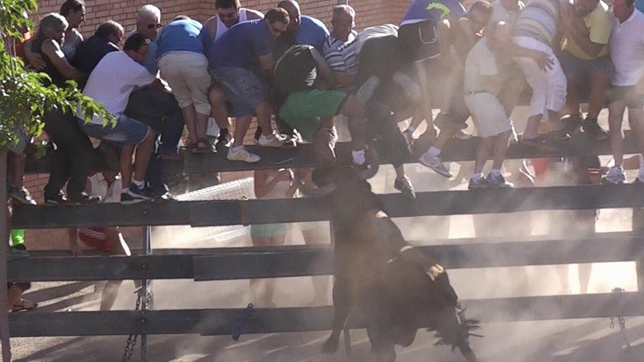 Vall de Uxo CS 22 7 2014 Barrio Toledo. Toros de Peñajara