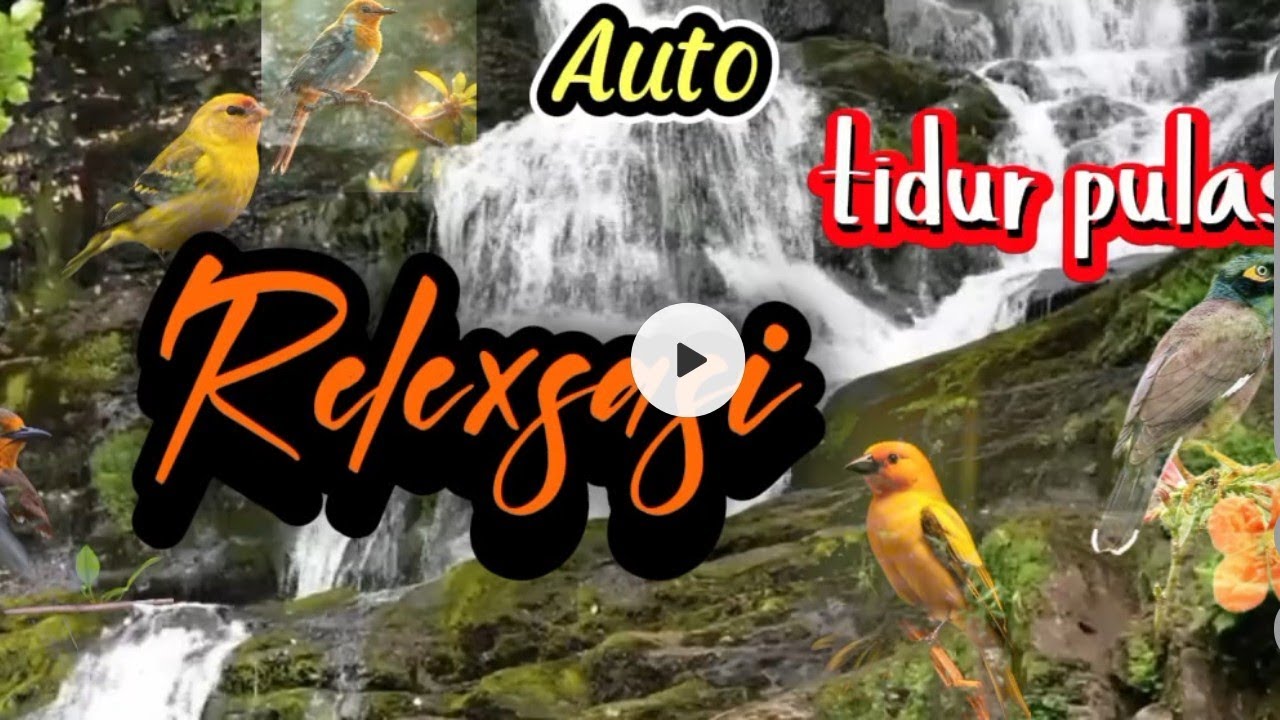 Dengarkan minimal 1X sehari#videobermanfaat #motivationalvideo #viralvideo 