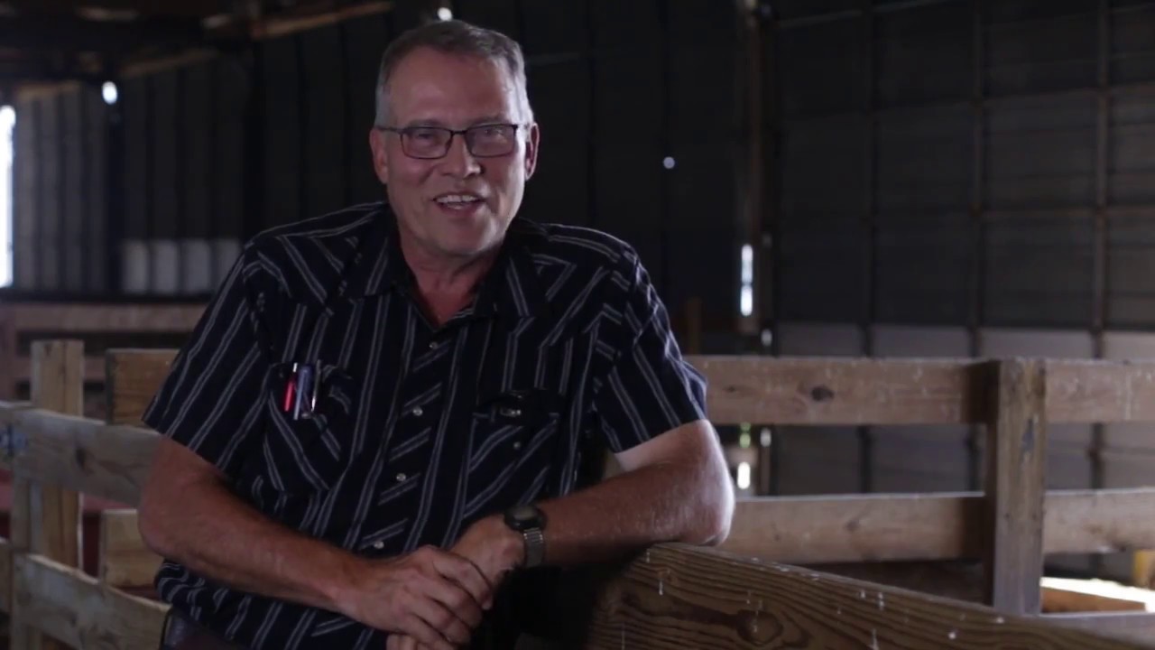 Sheep Care: Small Flock Facilities and Handling