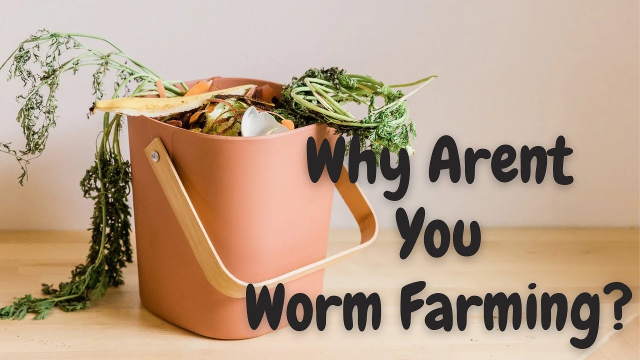 How To Build The Easiest Worm Farm Tub and Beginners Worm Bedding Options