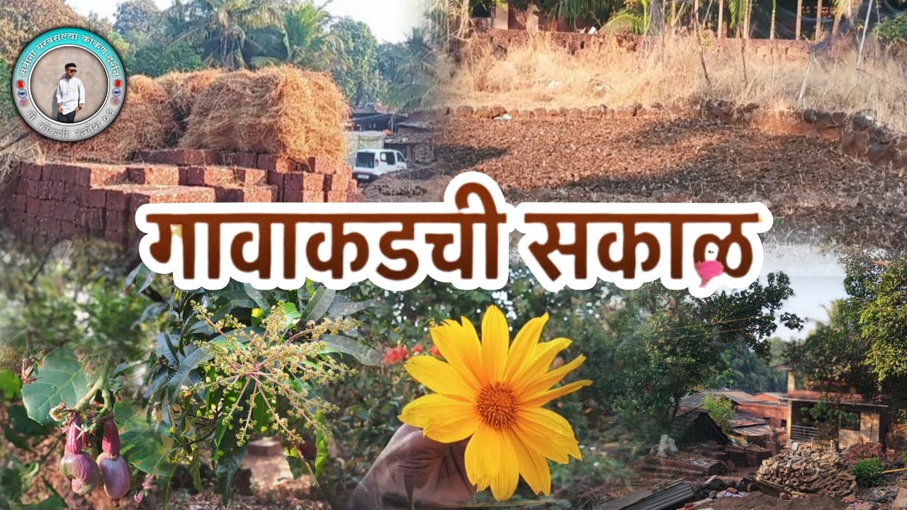 गावाकडची सकाळ 😍 | शहर विसरायला लावणारा निसर्ग 🌄 | मातीचा सुगंध, निसर्गाचं खरं सौंदर्य ❤️|#Village
