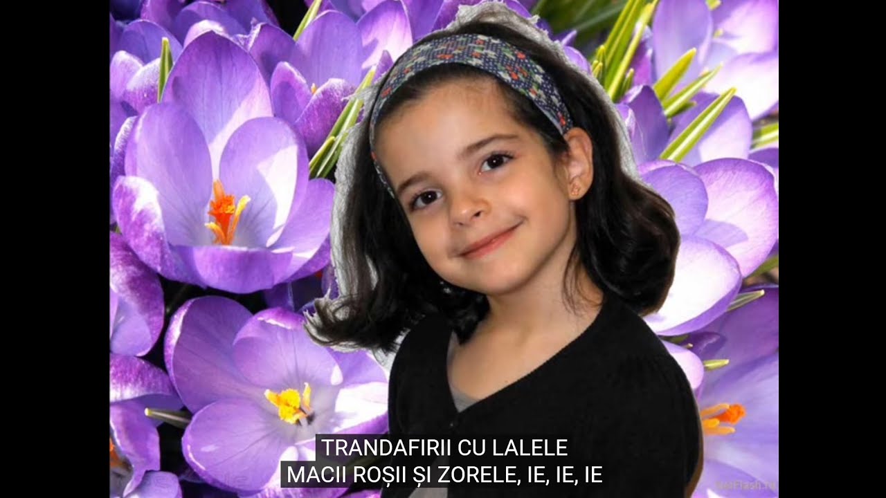 SAMBA FLORILOR- RIANA SCHIAUCU