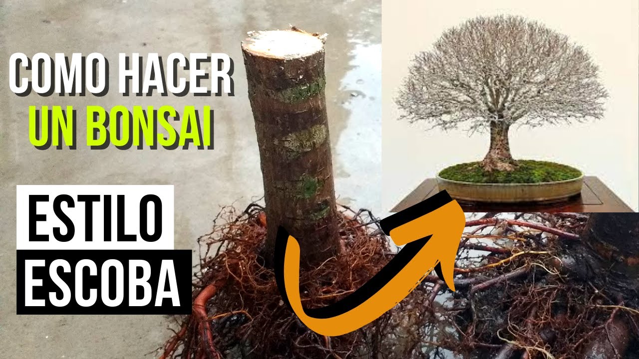3 года работы в 5 минут! | Как сделать бонсай из веника хокидачи