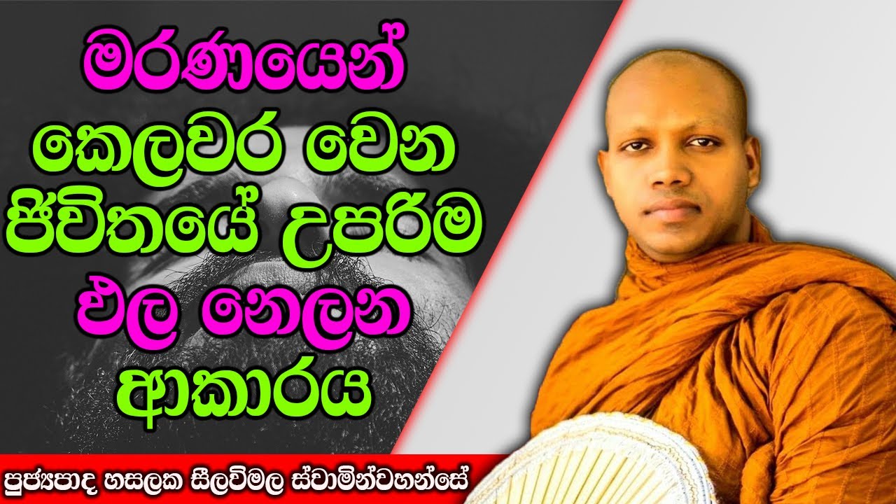 මරණයෙන් කෙලවර වෙන ජිවිතයේ උපරිම ඵල නෙලන ආකාරය | Hasalaka Seelawimala Thero | #darmadeshana