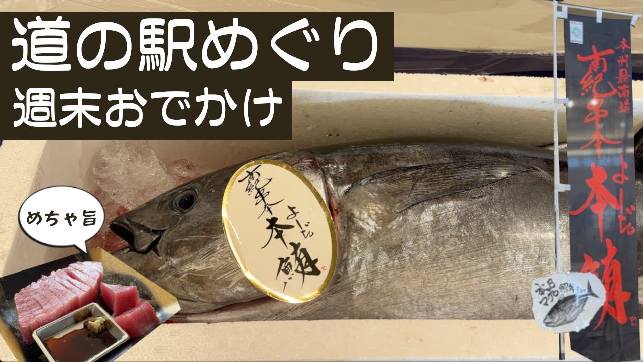 【道の駅めぐり#36】和歌山県制覇！海南サクアス : 鮮度抜群コスパ最高♪海の幸を満喫 | 夕陽が美しい南部梅林 | 推し→マグロ解体ショー 【vlog】
