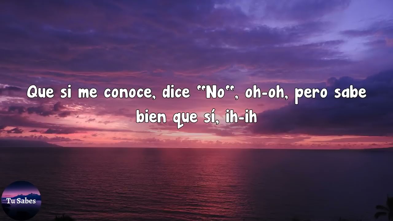 #JhayCortez #NoMeConoce #JhayCortezNoMeConoce Jhay Cortez - No Me Conoce (Letra)