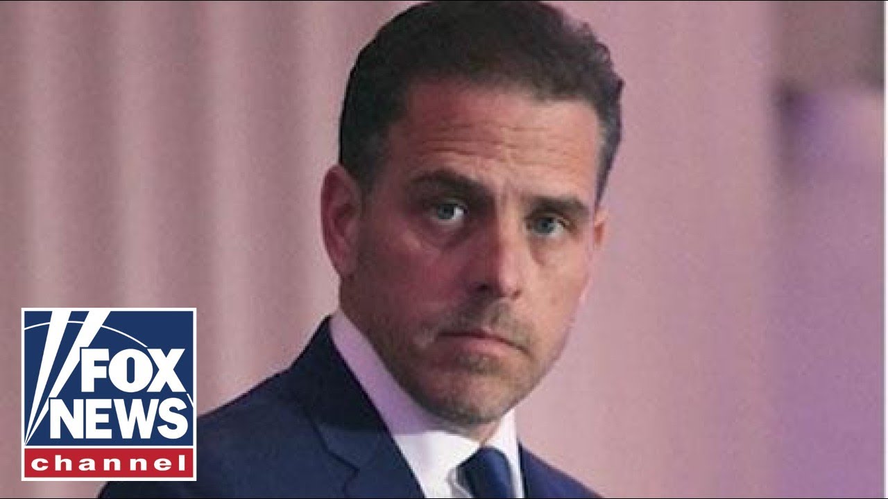 DOJ official deepens conflict of interest concerns in Hunter Biden case: Report