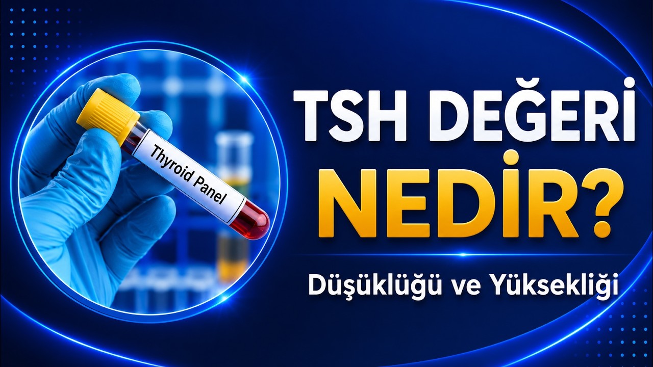 TSH NEDİR? TSH Yüksekliği ve Düşüklüğü! TSH Testi Nasıl Yapılır?