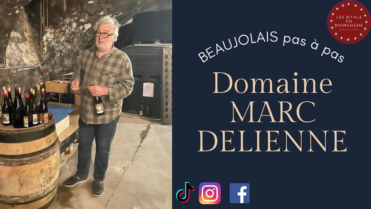 BEAUJOLAIS pas à pas - Domaine MARC DELIENNE