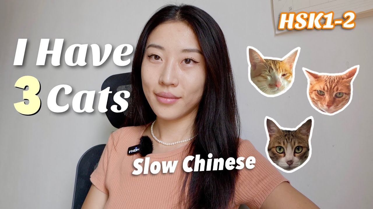我有三只猫 HSK1-2, Slow Chinese, Chinese Listening Practice, Beginner Chinese