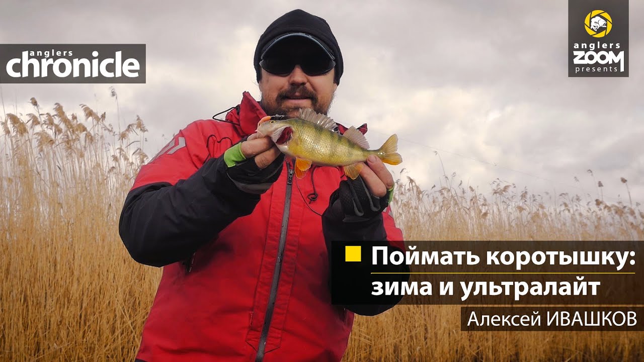Поймать коротышку: зима и ультралайт. Алексей Ивашков. Anglers Chronicle