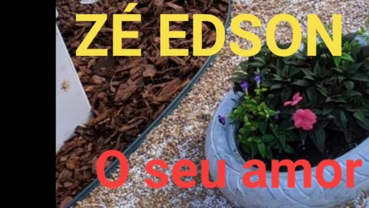 O Seu Amor Para mim z&eacute; edson